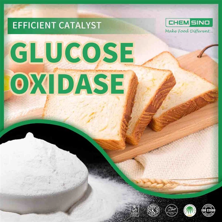 Glicose oxidase (Deus) usa na panificação