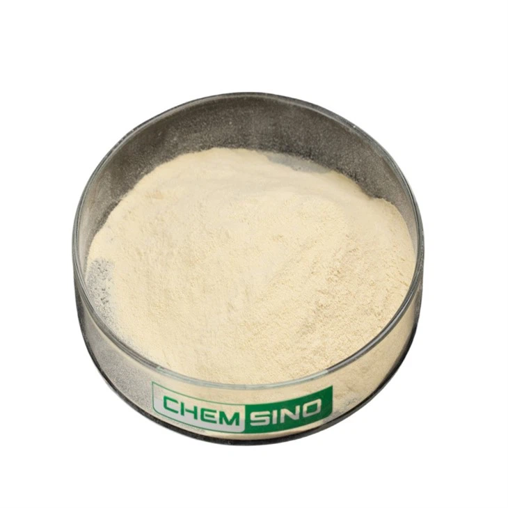 Hemicelulase{0}}ecologicamente correta para indústrias agrícolas e de papel
