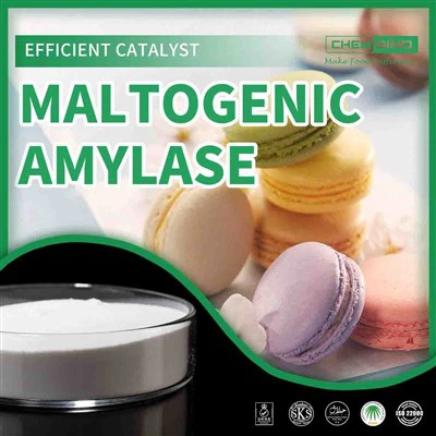 Eleve os perfis de sabor: aproveite o poder da amilase maltogênica.CAS NO. 9000-92-4